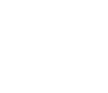 λογότυπο light